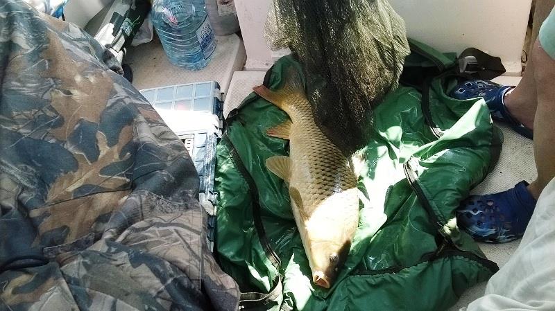 Rosu - Septembrie  2015 - wp20150925014.jpg